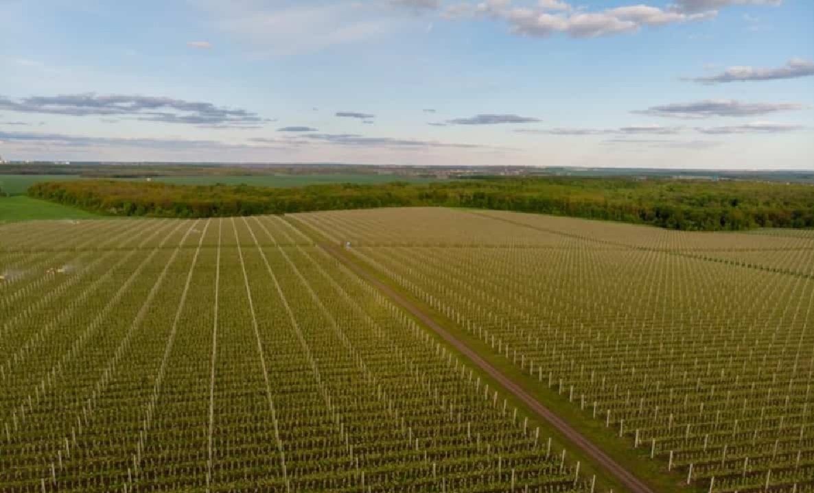 Ochrona polskiej ziemi na kolejne 10 lat. Sejm przedłużył zakaz sprzedaży gruntów ZWRSP