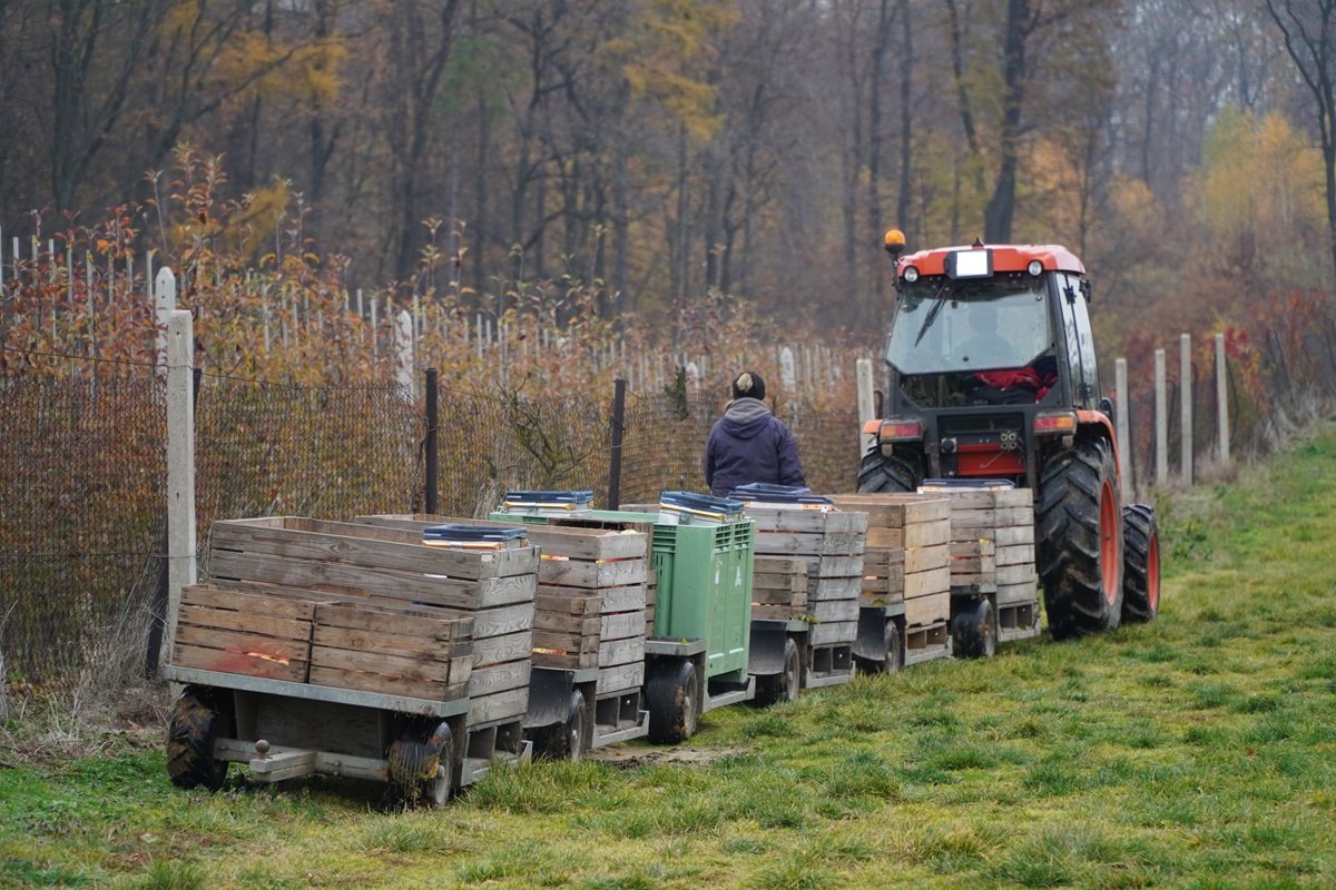 Niemcy: tragiczny wypadek w sadzie – Polak w ciężkim stanie po porażeniu prądem