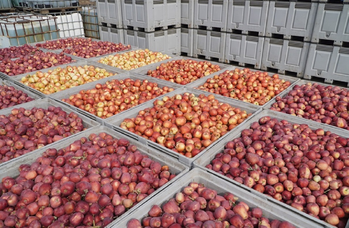 KSeF – jak zacząć?