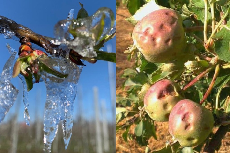 Rolnicy zyskają większe wsparcie w sporach z instytucjami finansowymi