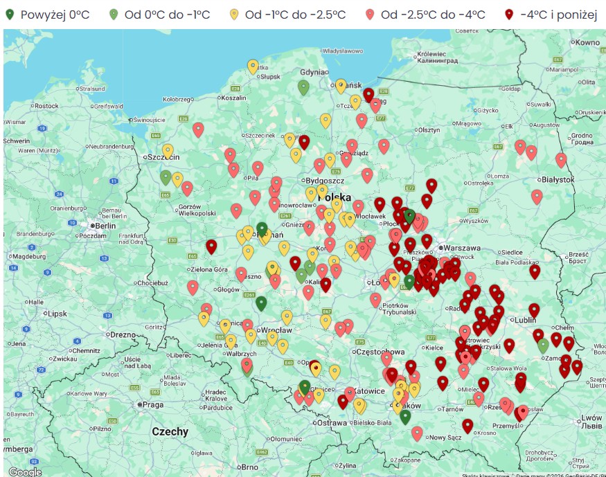 Przymrozki nierówne dla wszystkich - decydowały lokalne warunki