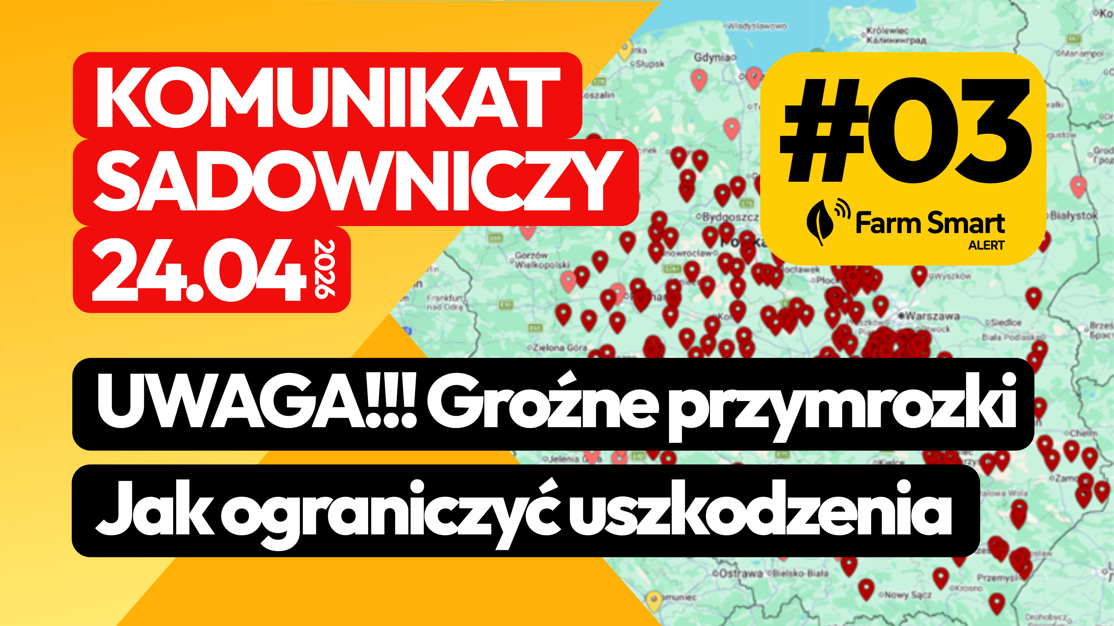 UWAGA: groźne przymrozki 26/27 kwietnia. Jak ograniczyć uszkodzenia?