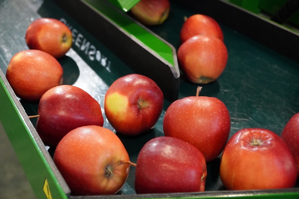 Nowelizacja ustawy o Funduszu Ochrony Rolnictwa - wyższe limity i ułatwienia dla producentów