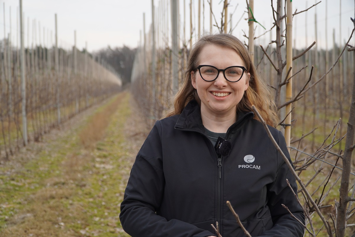 Pierwszy zabieg w sadzie po zimie – komunikat PROCAM