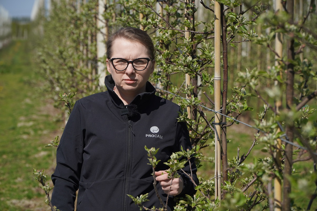 Przymrozki, parch i nawożenie – aktualna sytuacja w sadzie, 21.04.2026