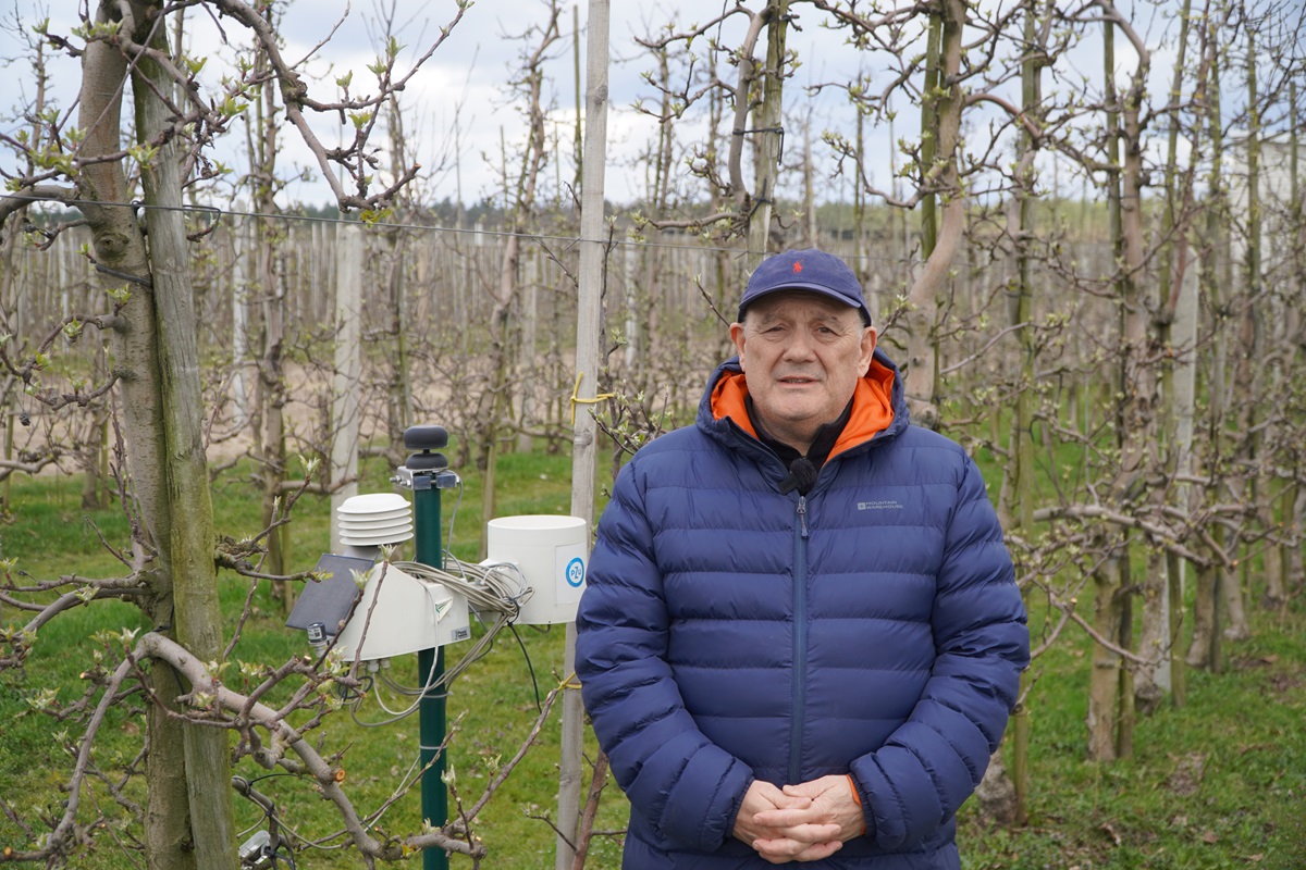 Komunikat: przymrozki a rak bakteryjny