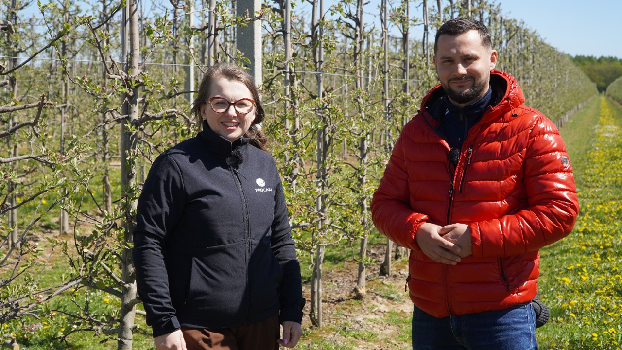 Sady po przymrozkach: ochrona, nawożenie i strategia na kolejne dni