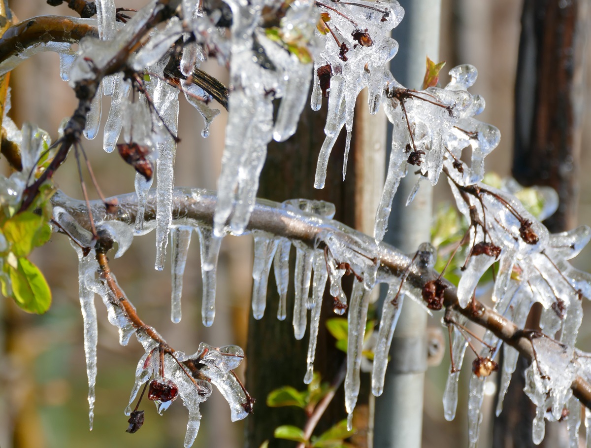 Kolejna noc z przymrozkami – miejscami spadki poniżej -4°C