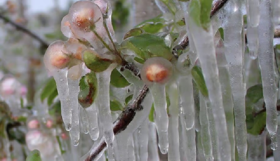 Przymrozki w całym kraju. Noc przyniesie nawet -6°C