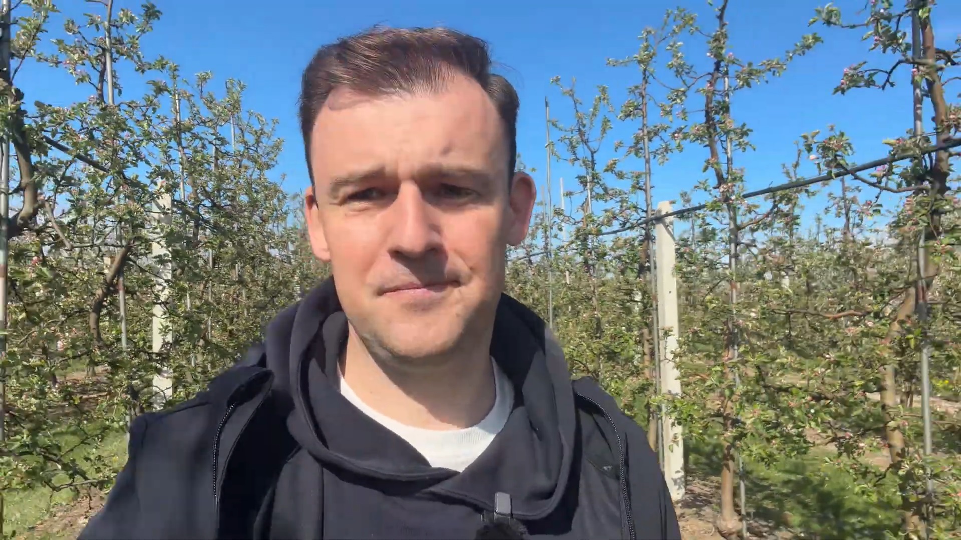 Wzmocnienie pąków przed zimnym tygodniem