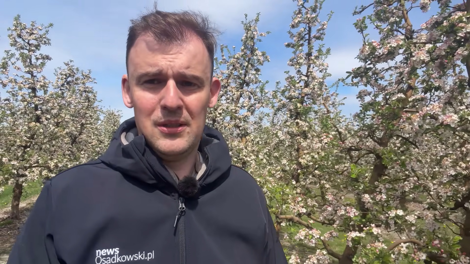 Walka z przymrozkami i co dalej? Aktualna sytuacja w sadach
