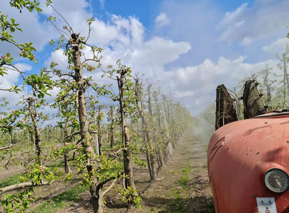 Susza, wiatr i parch – trudny start sezonu