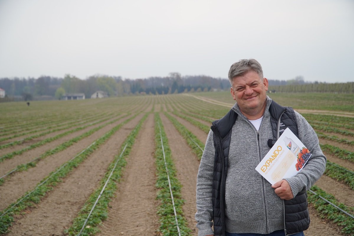 Start truskawek – fertygacja i regeneracja plantacji po zimie, Zbigniew Marek, 15.04.2026