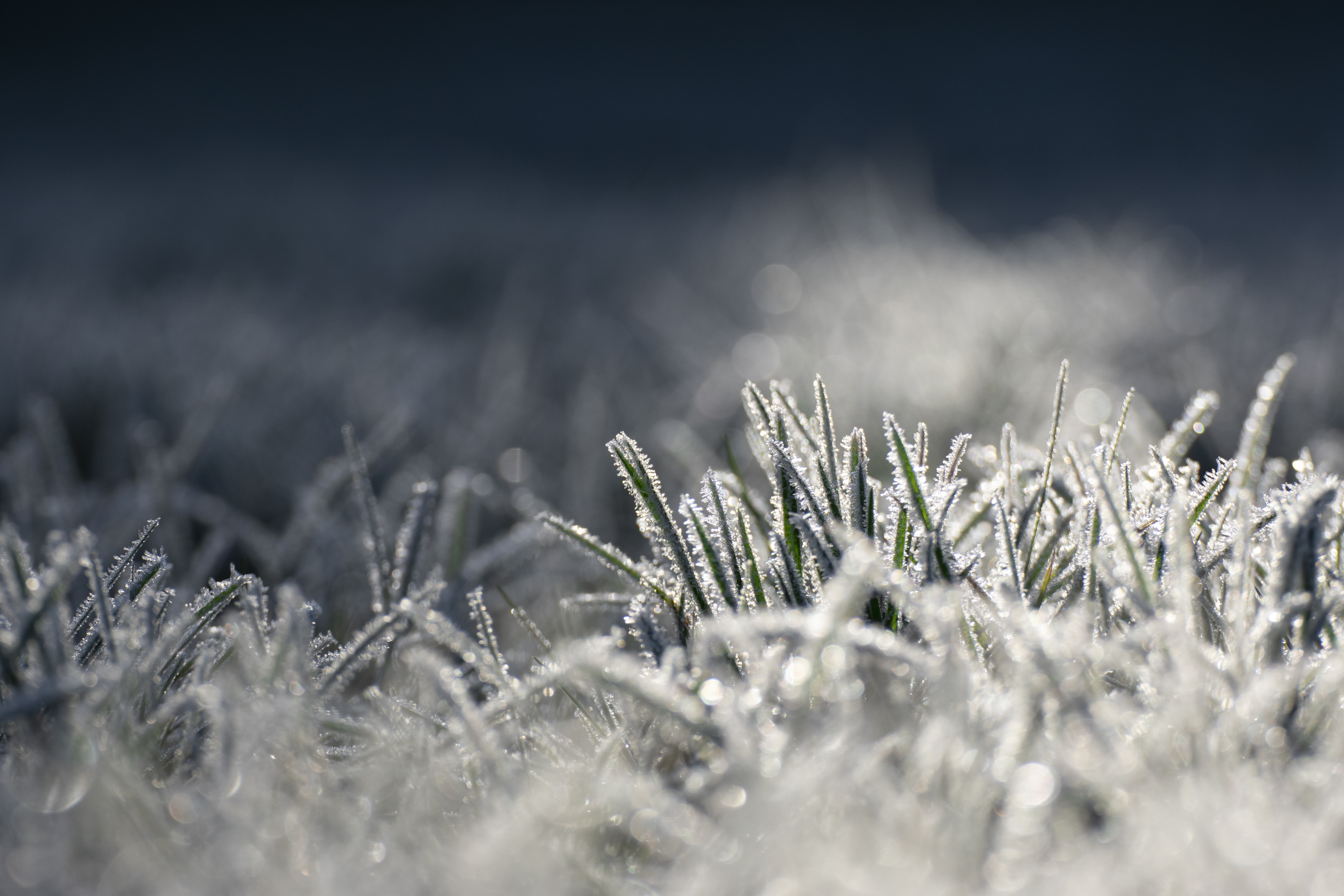 Przymrozki i burze nad Polską. IMGW wydało ostrzeżenia