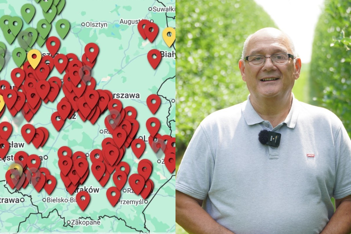 Silna presja chorób: rak bakteryjny, zaraza ogniowa i mączniak