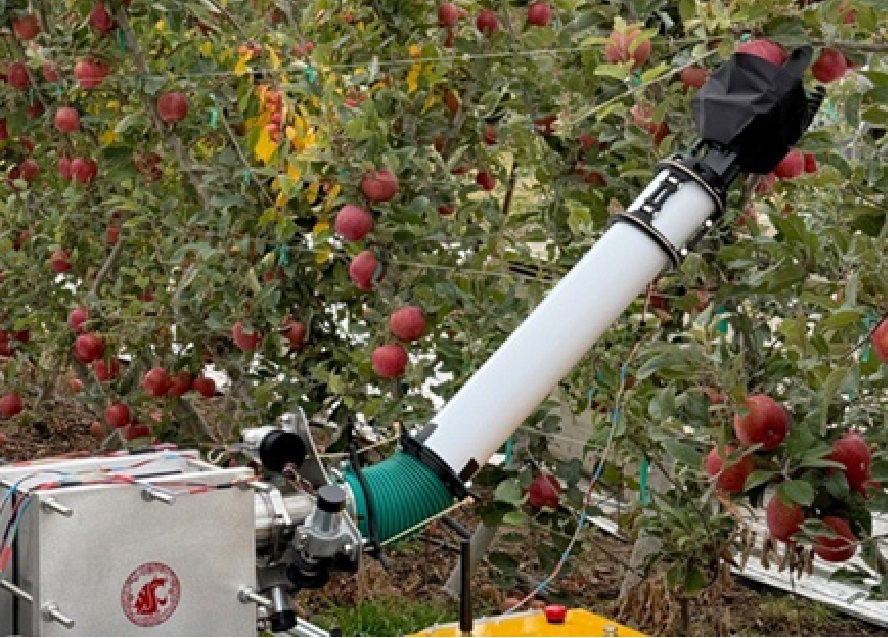Nadmuchiwany robot zamiast pracownika?