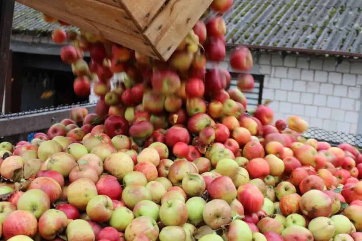 300 mln zł strat i ważny wyrok. Pozew przeciw obrońcy rolników oddalony