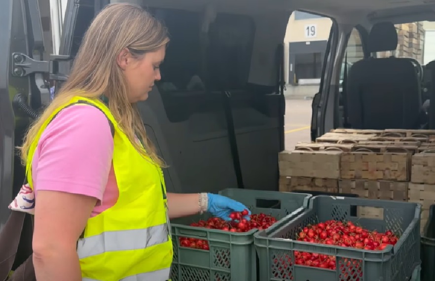 Polskie czy importowane? Oznaczenia czereśni pod kontrolą