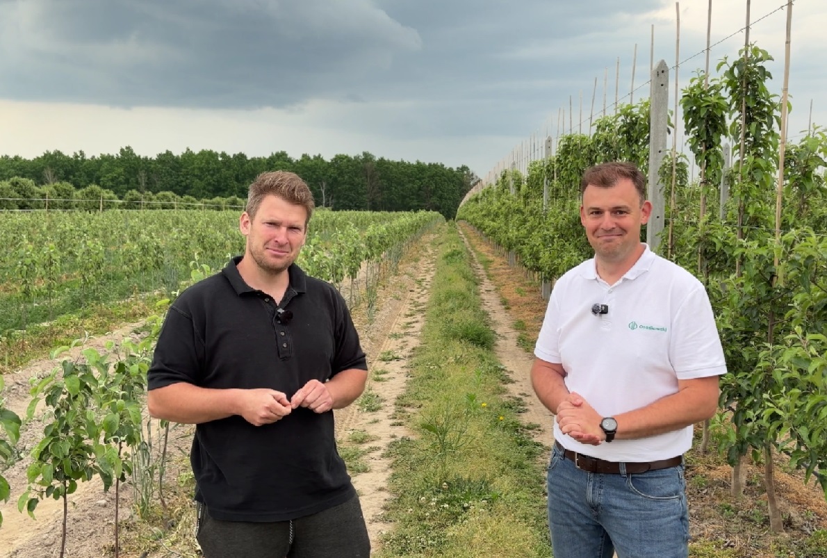 Kropka nad i w zabiegach insektycydowych