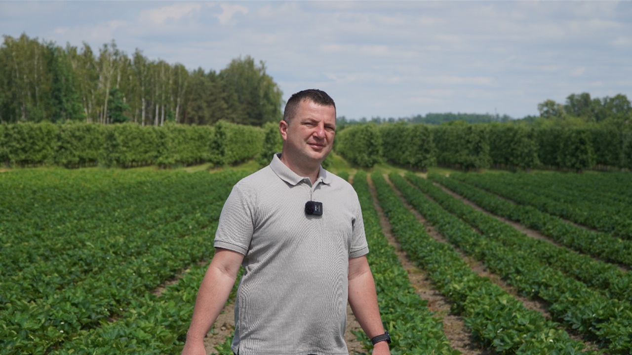 Biostymulacja i wsparcie późnych odmian truskawek – na przykładzie Malwiny