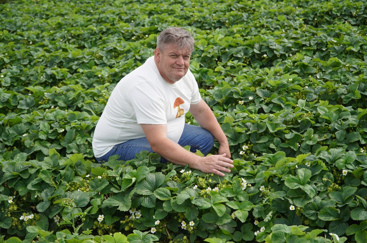 Idziemy na rekord! Komunikat truskawkowy Zbigniew Marek, 9.06.2026