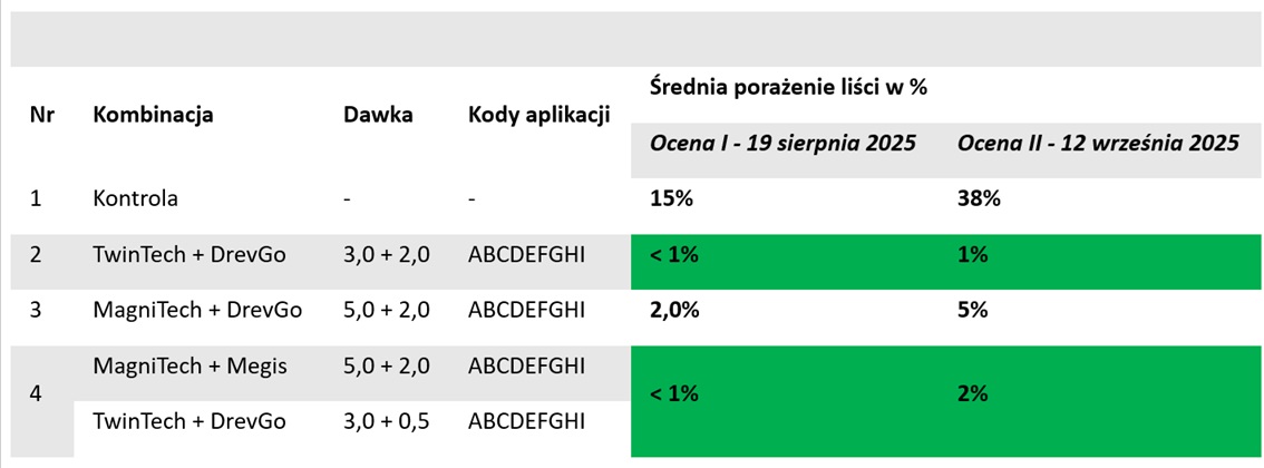 tanela tomek nekrotyczna plamistosc