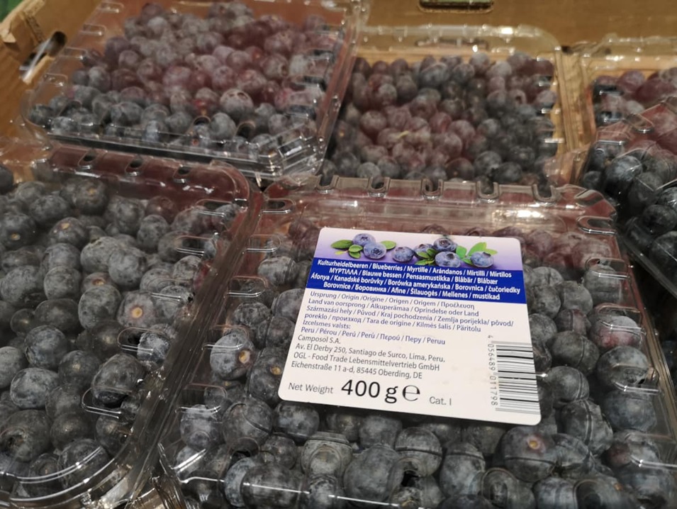 Polskie borówki w szczycie sezonu, a w sklepach import z Peru i Zimbabwe. Plantatorzy pytają sieci handlowe o decyzje zakupowe
