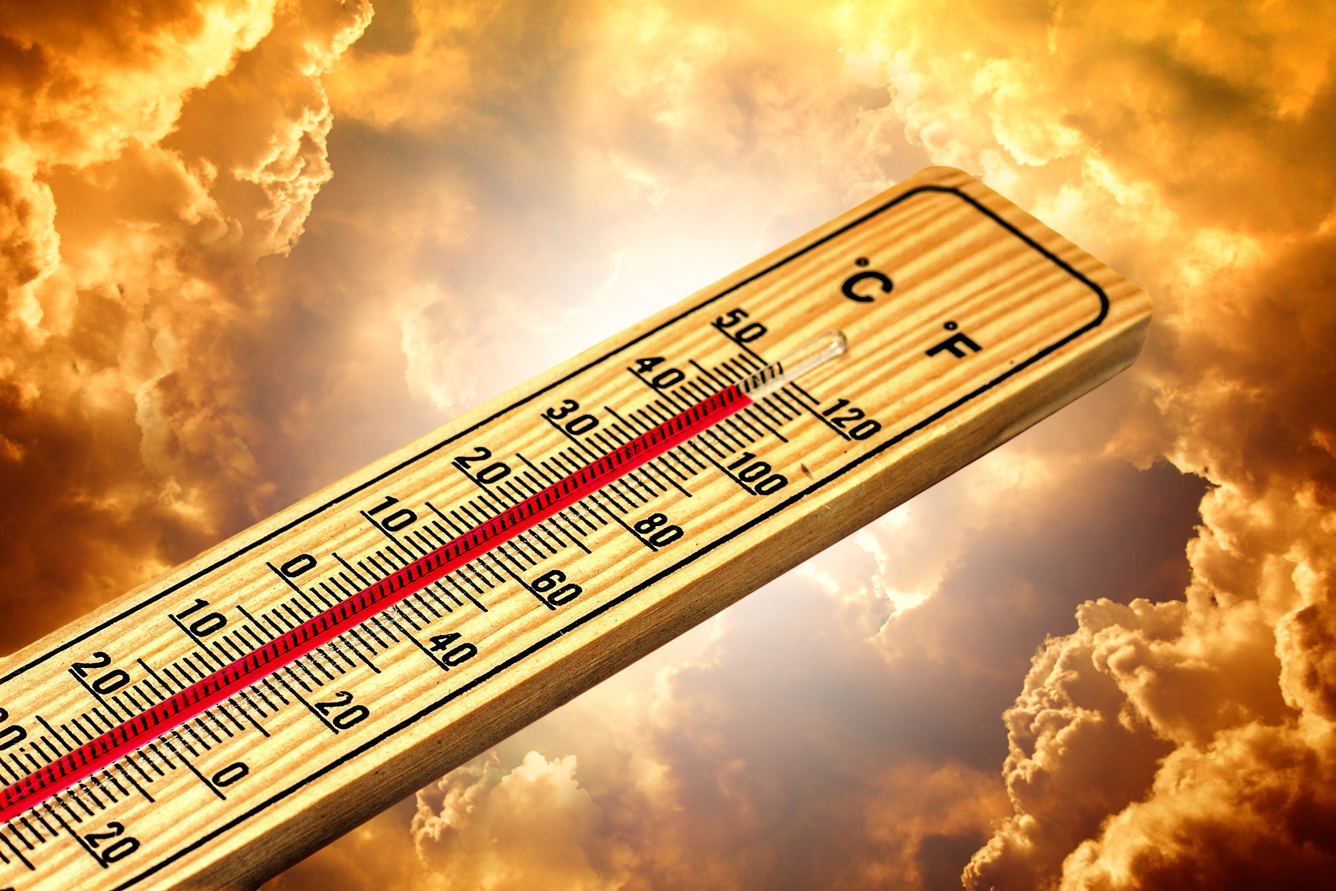 37°C w cieniu. Nad Polskę nadciąga potężna fala upałów