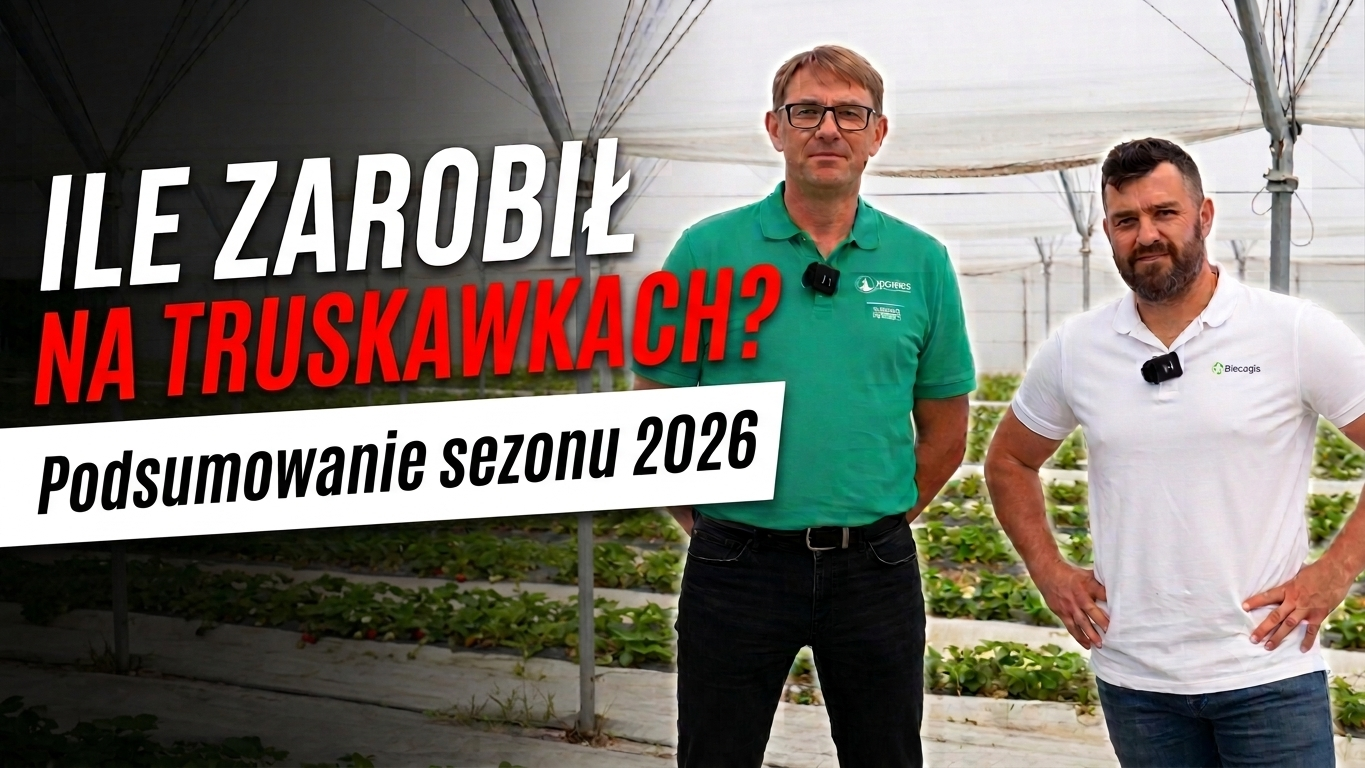 Ile zarobił Szymon Kamiński na truskawkach? Podsumowanie sezonu 2026