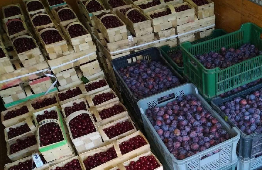 Ruszyły kontrole pozostałości środków ochrony roślin. Inspektorzy sprawdzą owoce i warzywa