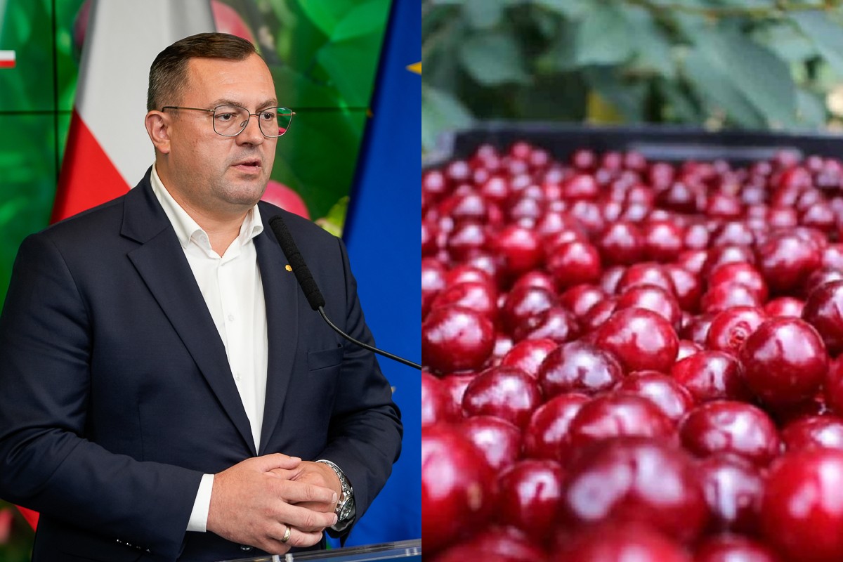 Skup wiśni: minister domaga się zbadania rynku