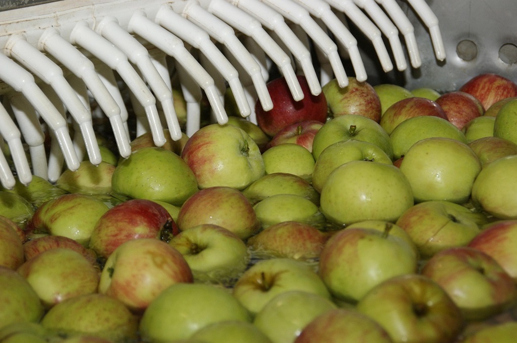 Kampol-Fruit znów szuka kupca. Zagraniczny inwestor bada zakład w Rykach