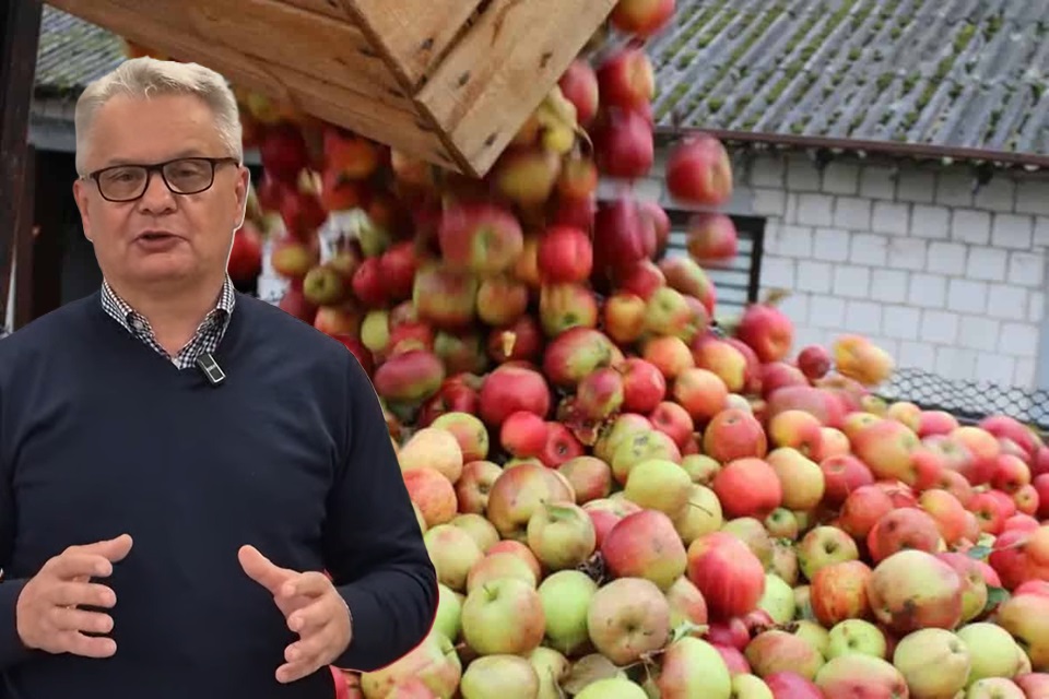 „Chcecie iść na wojnę, to będziecie tę wojnę mieli”. Maliszewski ostro o cenach jabłek