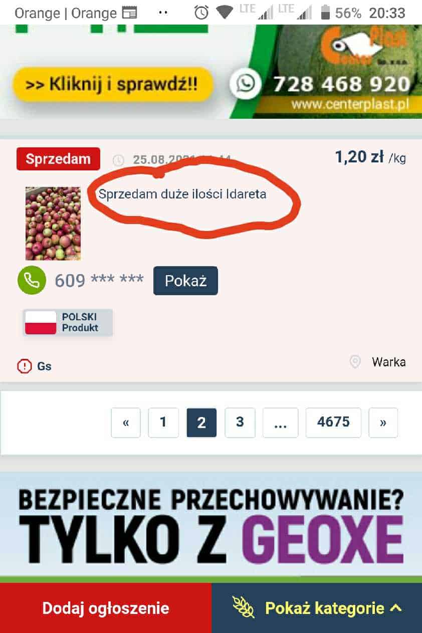 234811377_433009268048627_7602688505528312867_n.jpg