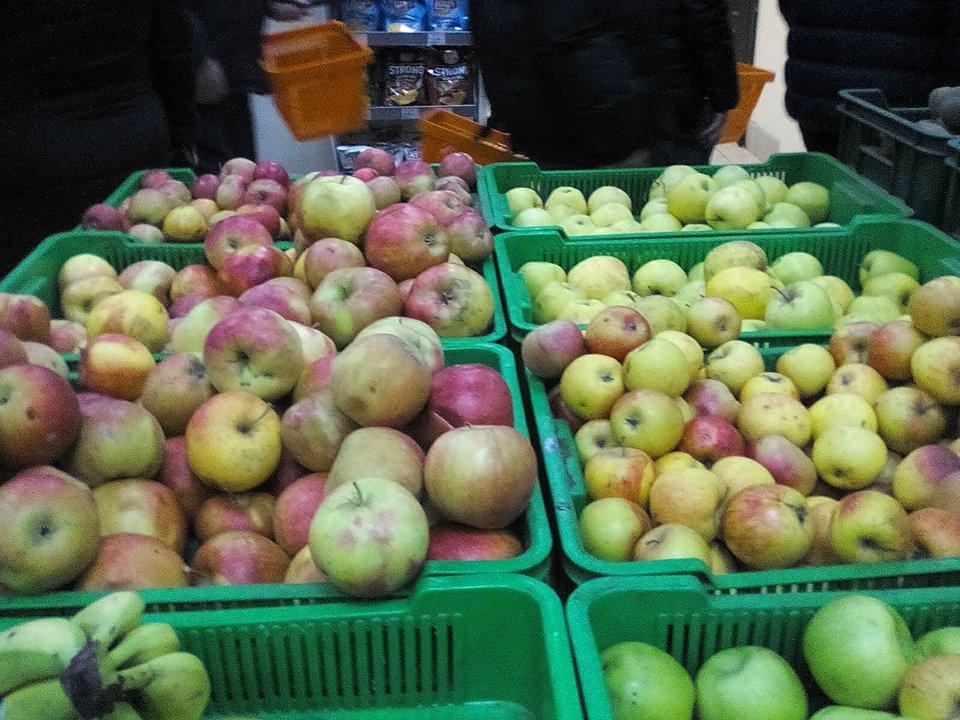 24337272 739494539585622 1402905134 n