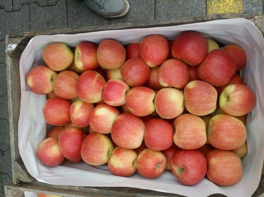 Ceny jabłek na Broniszach