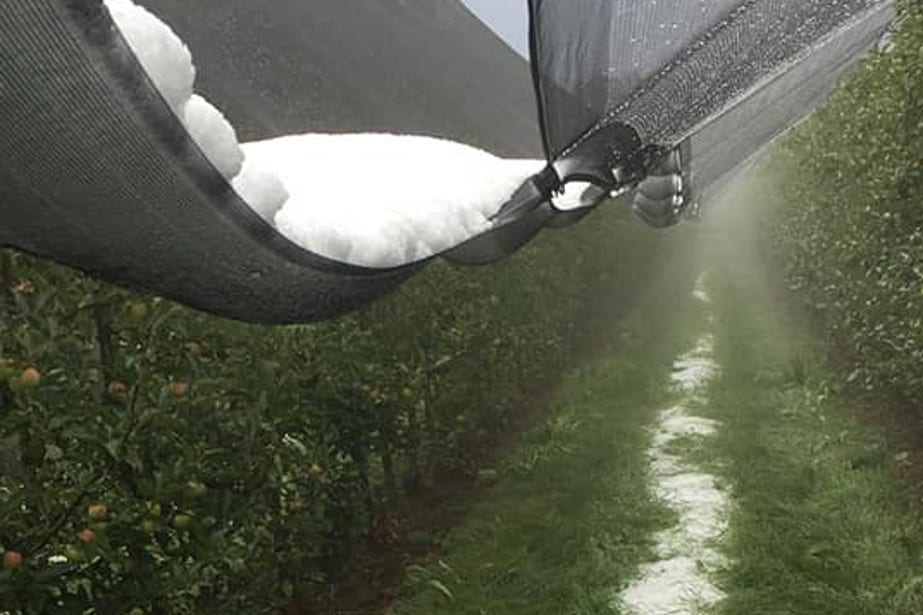 Gradobicia w Holandii i Austrii