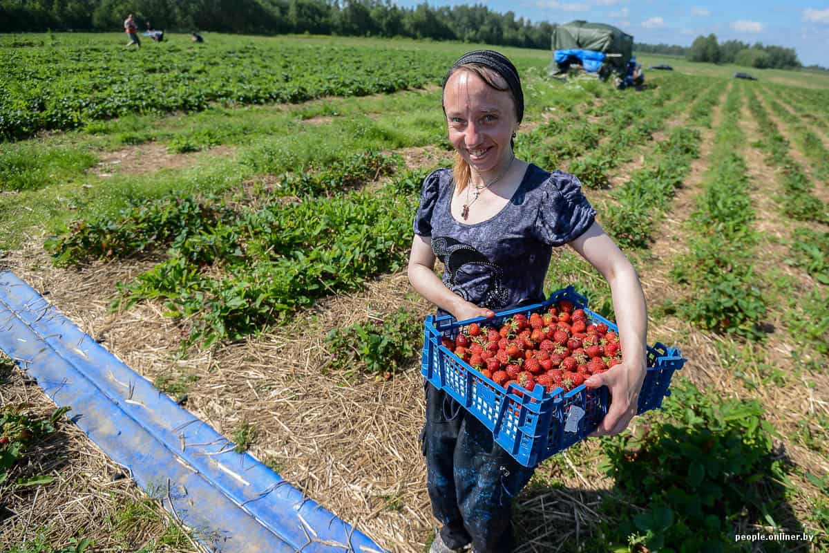 Ukraina wznowi ruch graniczny na wszystkich przejściach?