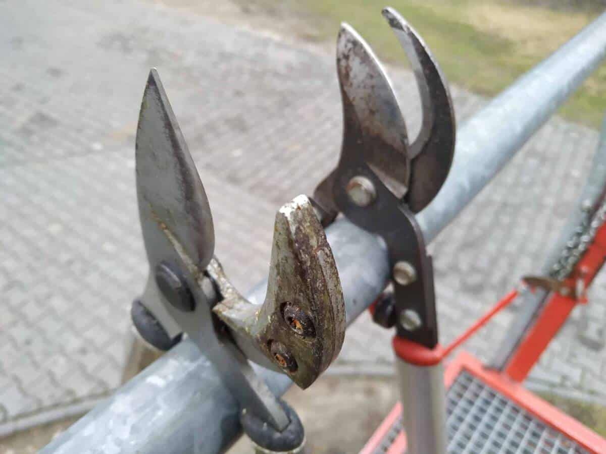 Sekator nożycowy czy kowadełkowy? 