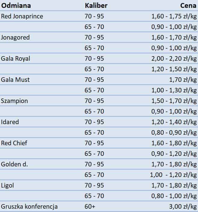 83874551 479550132699305 6879465412556226560 n