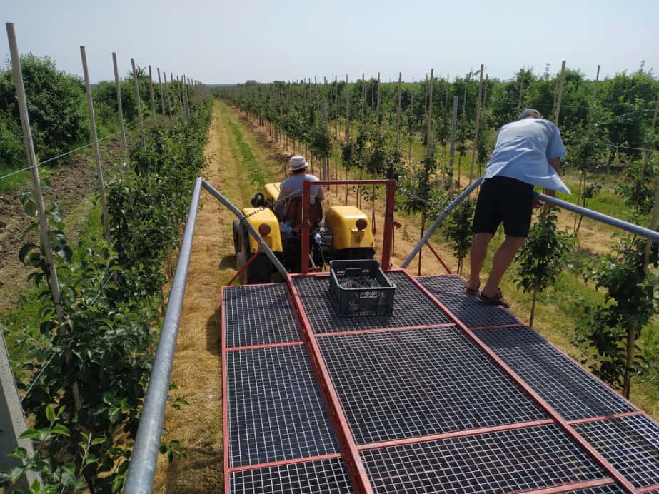 Platformy markowe i rzemieślniczne – ceny wyrównują się?