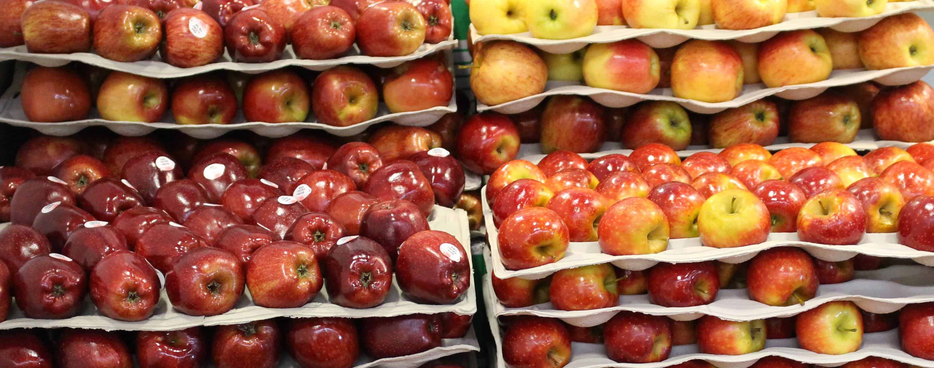 Zbiory Jonagoldów w Belgii o połowę mniejsze