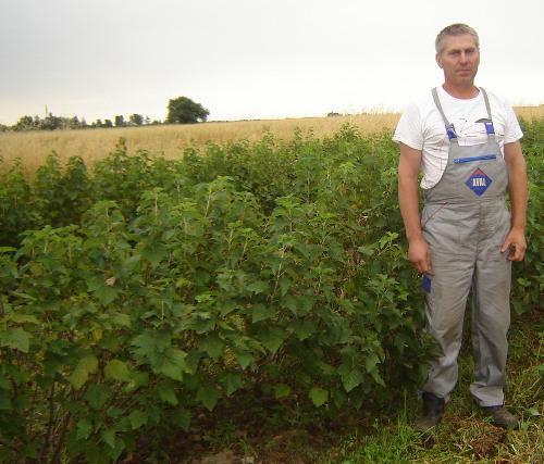 Marek Przyby z Rosanowa