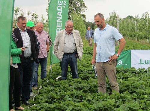 bayer kozietuly