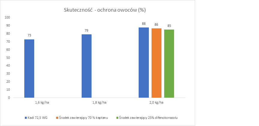Bez tytułu1