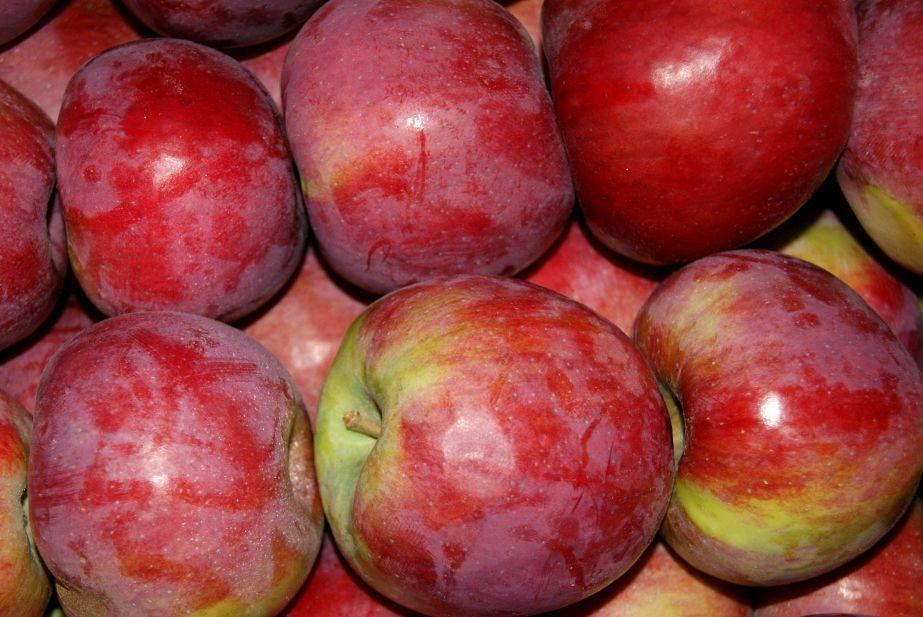Polska największym producentem jabłek i wiśni w UE