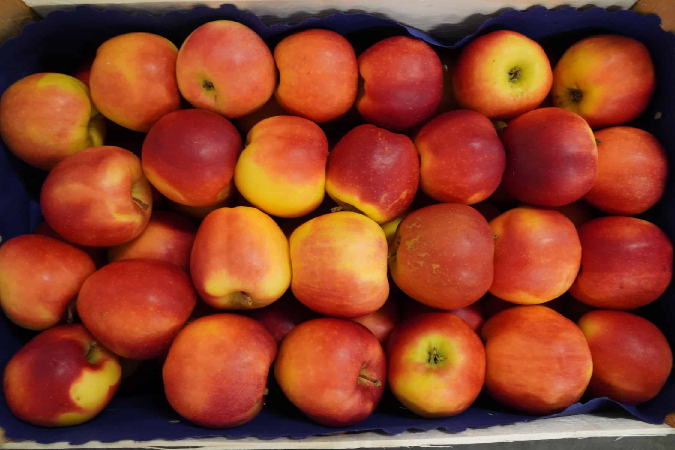 Czy będzie nas stać na europejską żywność?