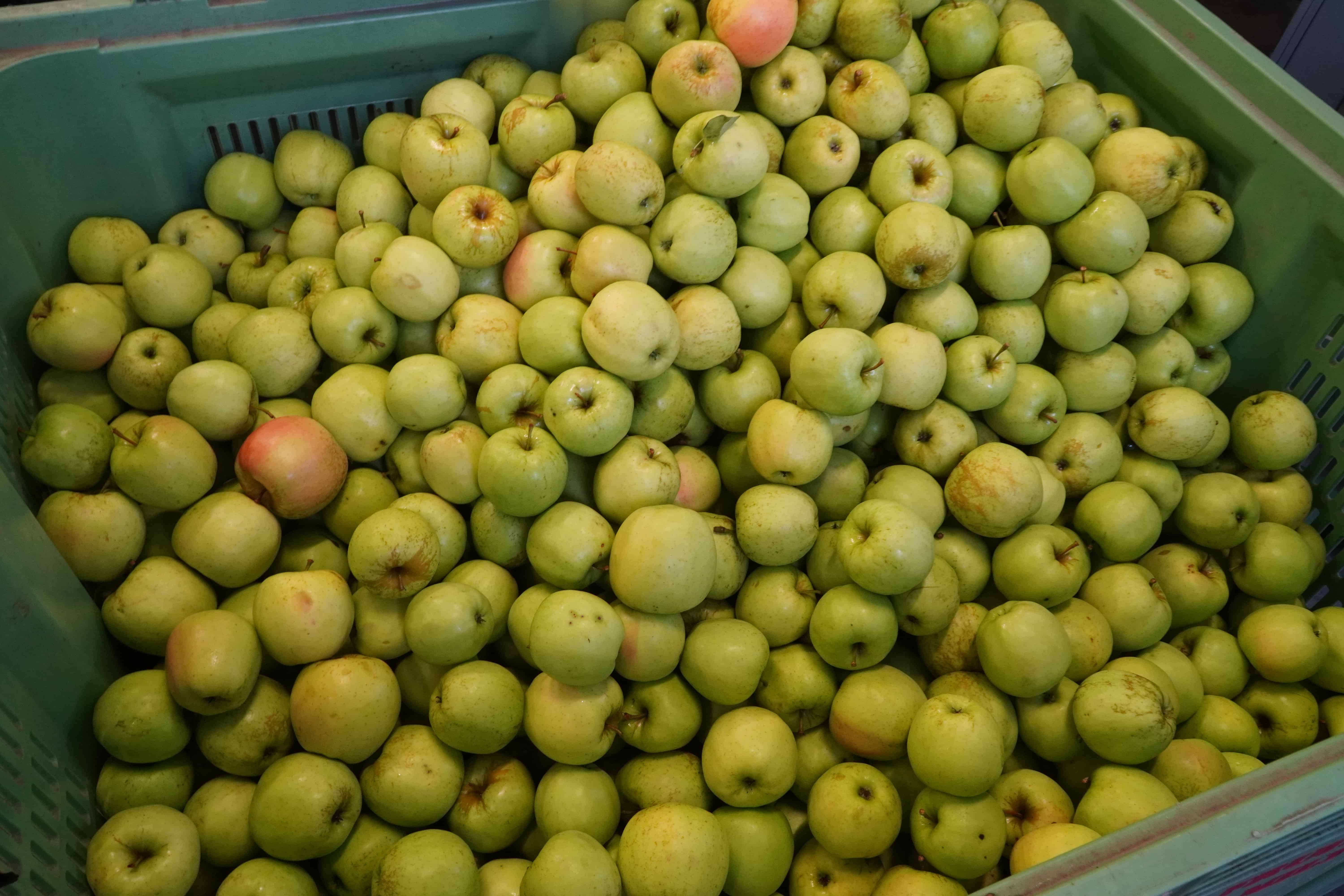 Co z ceną przemysłu? 