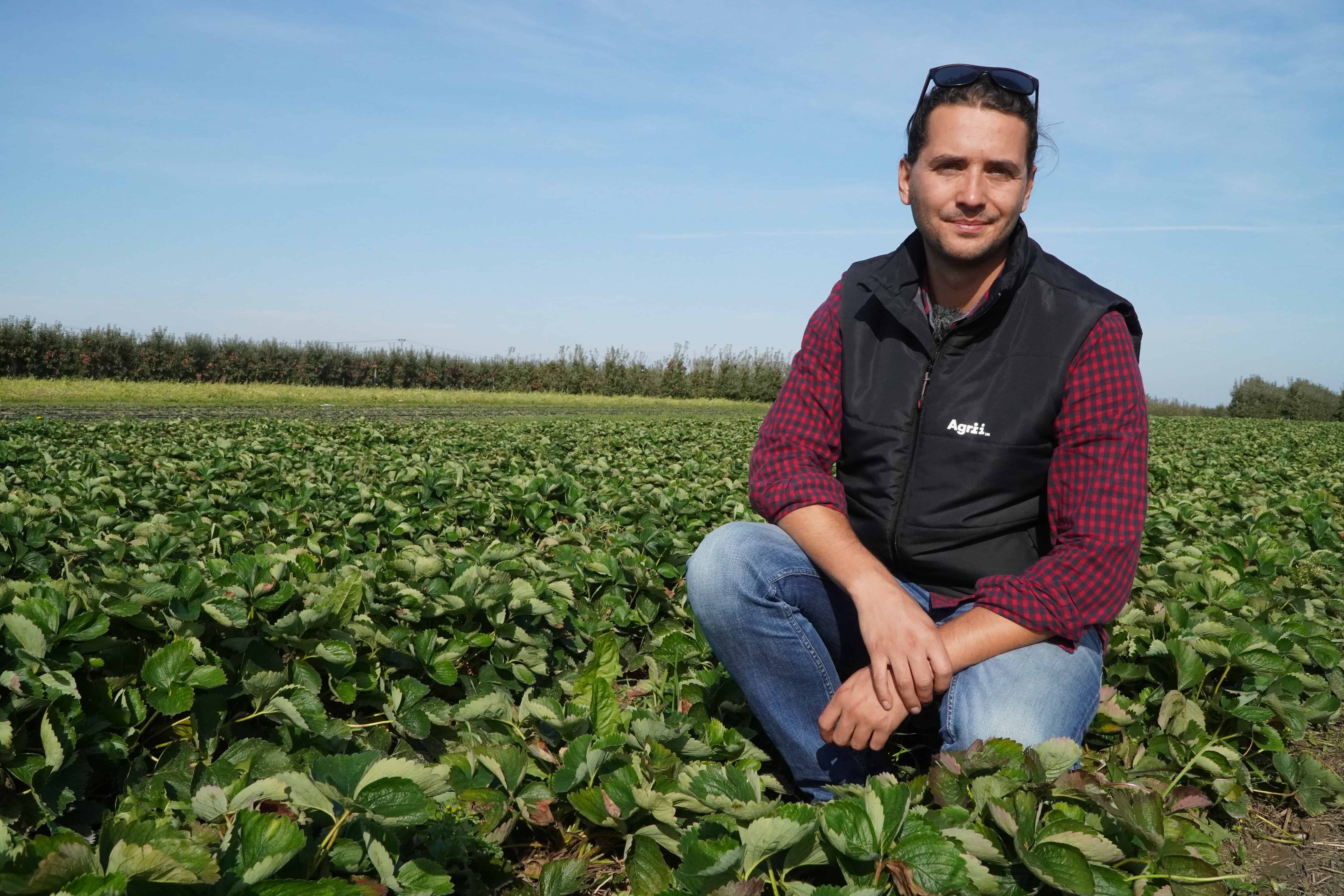 Komunikat truskawkowy, Michał Malicki, 07.10.2020