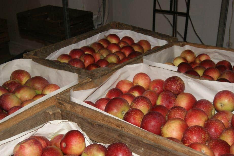 Aktualna sytuacja na Broniszach